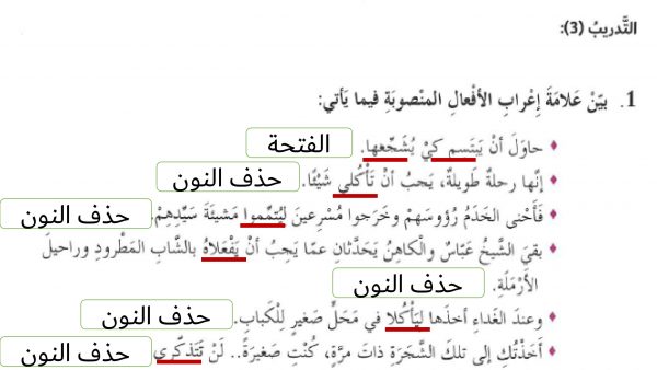 حل درس أدوات نصب الفعل المضارع لغة عربية صف ثامن فصل ثاني مدرستي