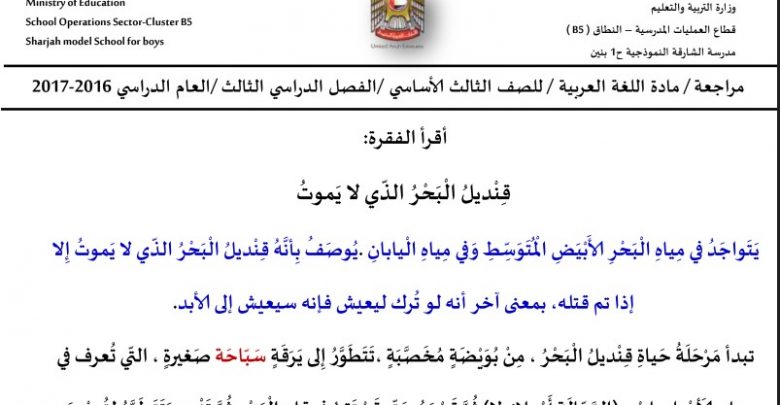 تدريبات تهيئة لامتحان الكتابة لغة عربية صف ثالث فصل ثالث