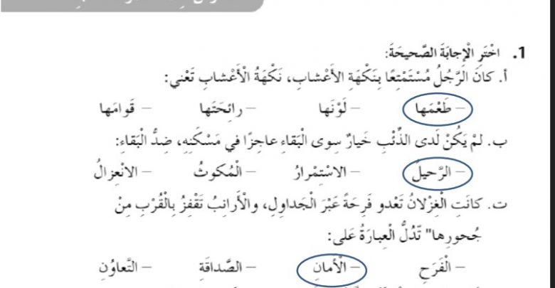 حل درس صوت المحبة لغة عربية الصف الخامس الفصل الثالث