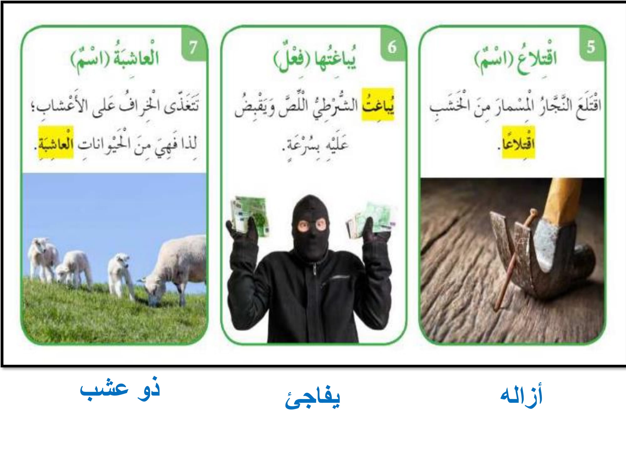 درس التوازن البيئي مع الاجابات لغة عربية