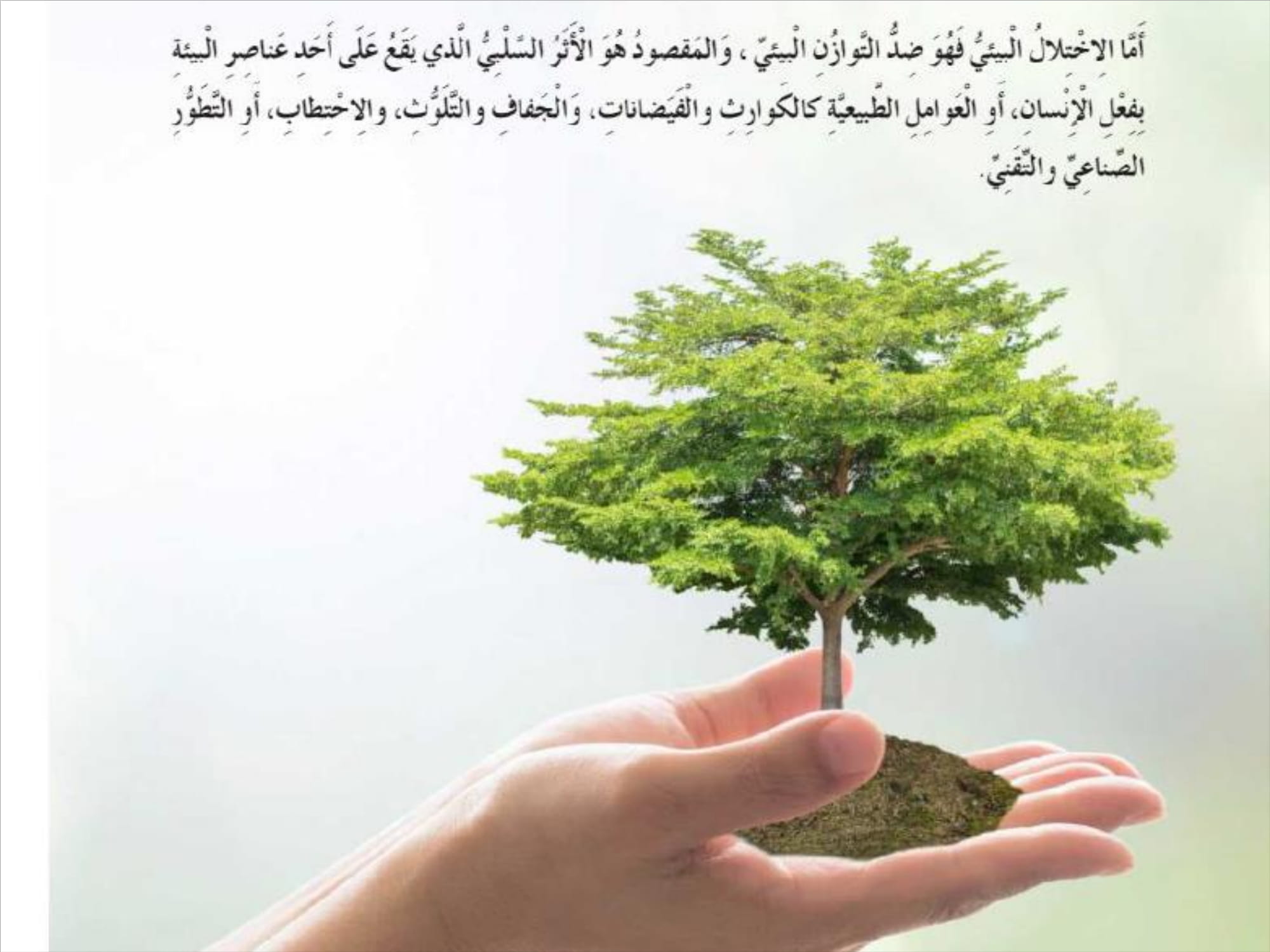 درس التوازن البيئي مع الاجابات لغة عربية