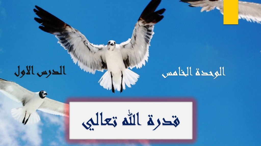 حل درس قدرة الله حل درس قدرة الله