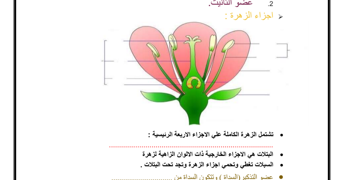 حل كتاب علوم صف خامس فصل اول