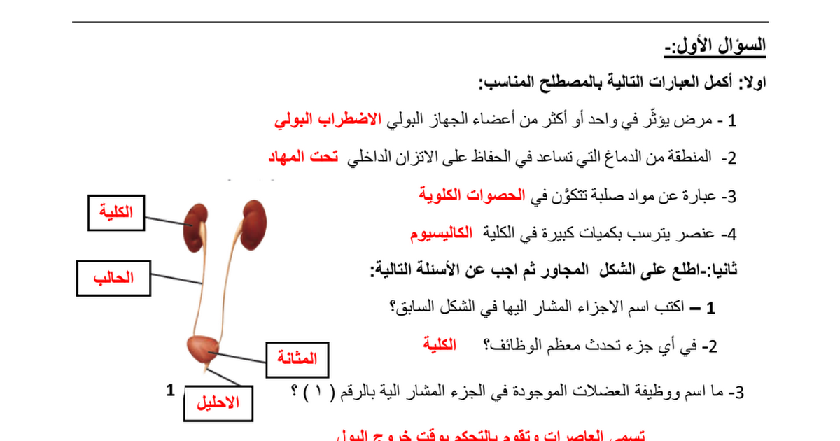 كتاب علوم صف ثامن فصل الاول