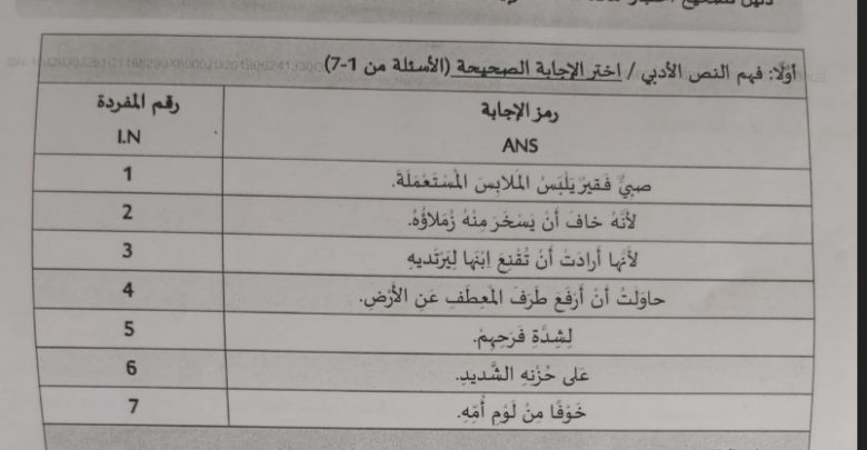 دليل تصحيح لغة عربية سادس فصل ثالث 2019