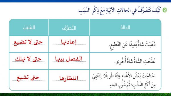 حل درس الرسول صلى الله عليه وسلم يحب العمل