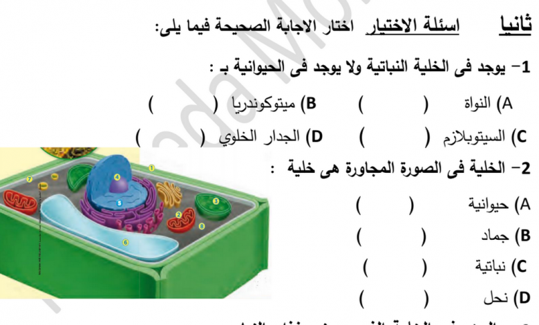 تركيب يوجد في الخلية النباتية ولا توجد في الخلية الحيوانية