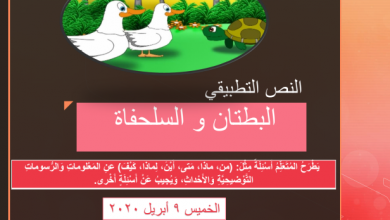 حل درس البطتان والسلحفاة لغة عربية للصف الثاني